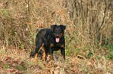 BEAUCERON 1039